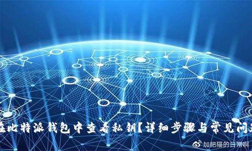 如何在比特派钱包中查看私钥？详细步骤与常见问题解析