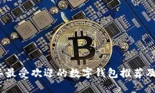 : 2023年最受欢迎的数字钱包推荐及使用指南