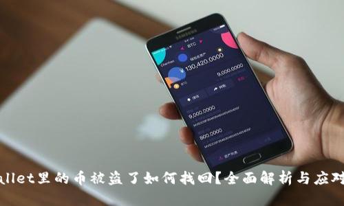 TPWallet里的币被盗了如何找回？全面解析与应对策略