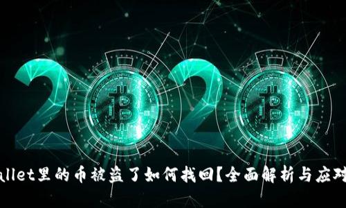 TPWallet里的币被盗了如何找回？全面解析与应对策略
