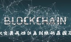 TP Wallet交易成功但未到账的原因及解决办法