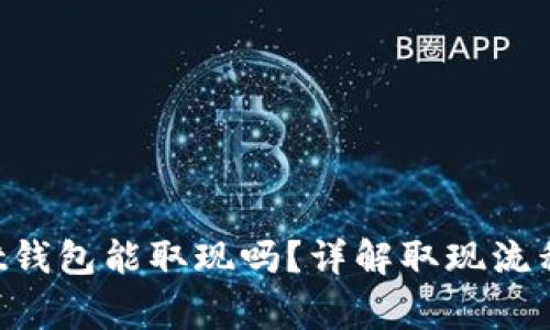 TokenPocket钱包能取现吗？详解取现流程与注意事项