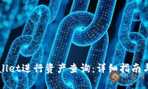 如何使用TPWallet进行资产查询：详细指南与常见问题解答