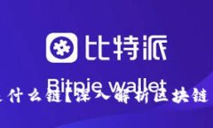 TPWallet USDT是什么链？深入解析区块链与数字货币