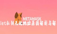 TPWallet私钥无效地址原因解析与解决方案