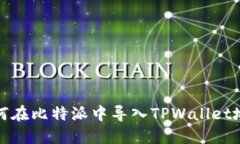 如何在比特派中导入TPWallet地址