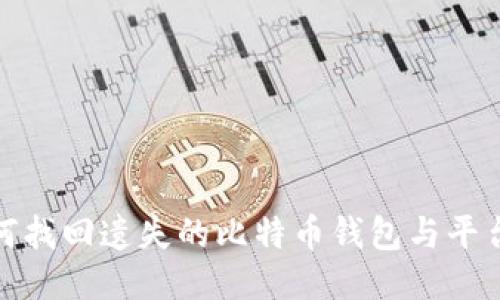 : 如何找回遗失的比特币钱包与平台介绍