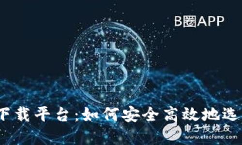 数字货币下载平台：如何安全高效地选择和使用？