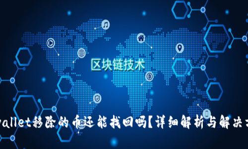 tpwallet移除的币还能找回吗?详细解析与解决方案