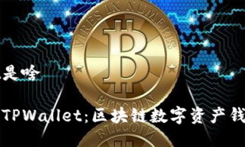 tpwallet是啥

全面解读TPWallet：区块链数字资产钱包的未来