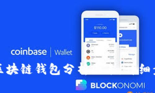 如何制作区块链钱包分析图表：详细步骤与技巧