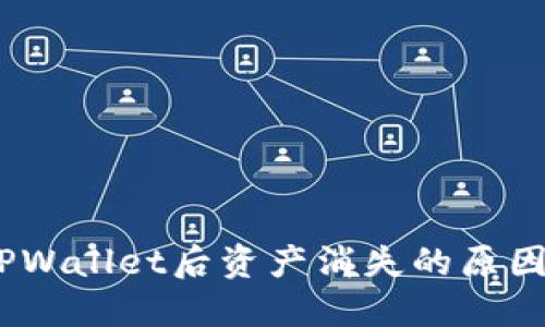 USDT转到TPWallet后资产消失的原因及解决方法