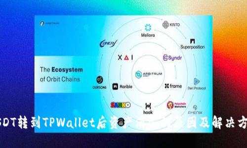 USDT转到TPWallet后资产消失的原因及解决方法