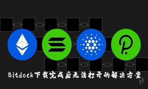 Bitdock下载完成后无法打开的解决方案