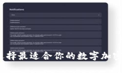 如何选择最适合你的数字加密钱包？
