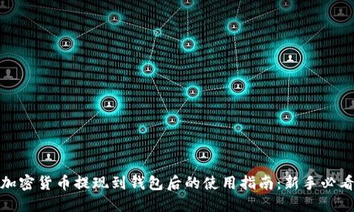 加密货币提现到钱包后的使用指南：新手必看