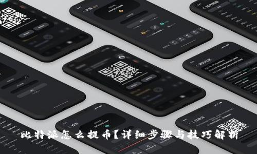 比特派怎么提币?详细步骤与技巧解析