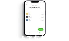 如何在TPWallet上下载和使用AVE电子钱包