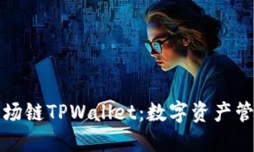深入了解波场链TPWallet：数字资产管理的新选择