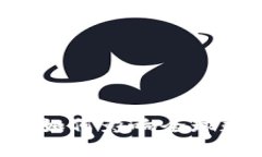 USDT国际汇率解析：如何影响全球数字货币交易和