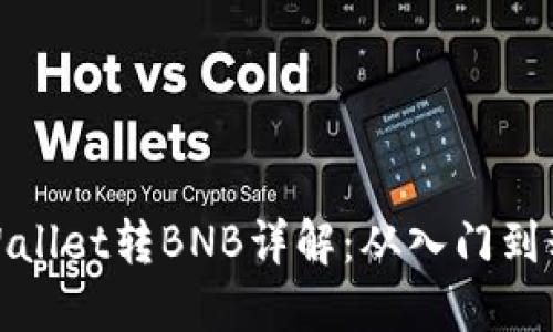 TPWallet转BNB详解：从入门到精通