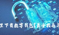 在哪里下载数字钱包？最全指南与推荐