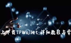 如何在电脑上下载TPWallet：详细教程与常见问题解