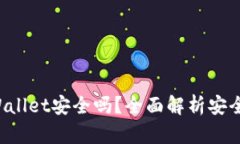  加密货币TPWallet安全吗？全面解析安全性与使用