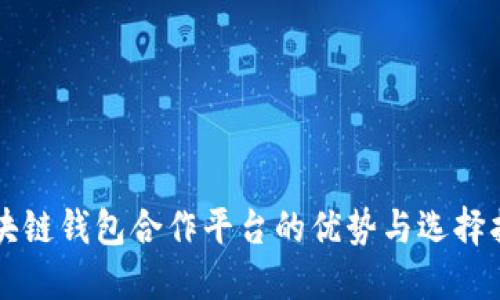 区块链钱包合作平台的优势与选择指南