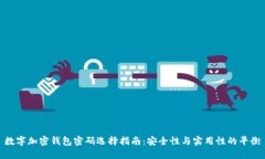 数字加密钱包密码选择指南：安全性与实用性的