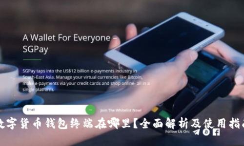 数字货币钱包终端在哪里？全面解析及使用指南