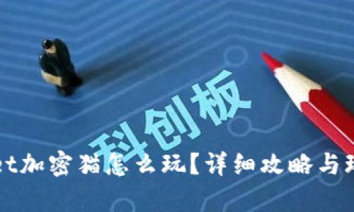 TPWallet加密猫怎么玩?详细攻略与玩法解析