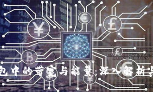 区块链钱包中的带宽与能量：深入解析与实用指南