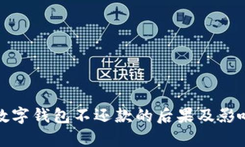 使用数字钱包不还款的后果及影响解析