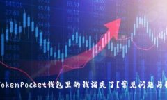 为什么TokenPocket钱包里的钱消失了？常见问题与解