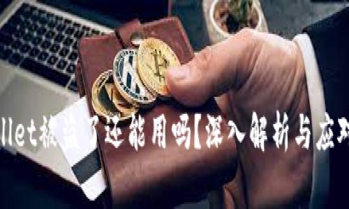 tpwallet被盗了还能用吗？深入解析与应对方案