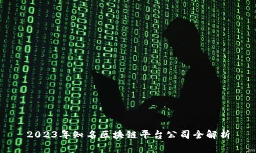 2023年知名区块链平台公司全解析