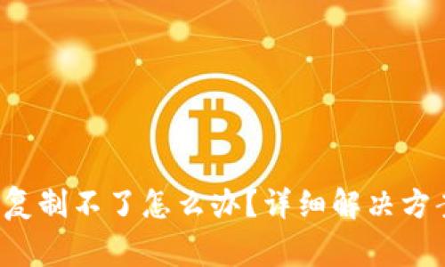:TPWallet收款码复制不了怎么办？详细解决方案和常见问题解答