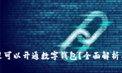 在哪里可以开通数字钱包？全面解析与推荐