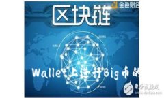 如何在TP Wallet上进行Big币的博饼交易