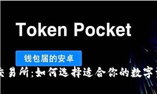 TPWallet与交易所：如何选择适合你的数字资产管理工具