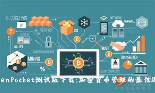 TokenPocket测试版下载：加密货币管理的最佳选择
