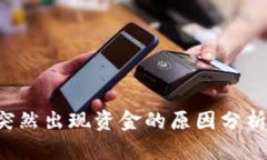 TPWallet 突然出现资金的原因分析及应对策略