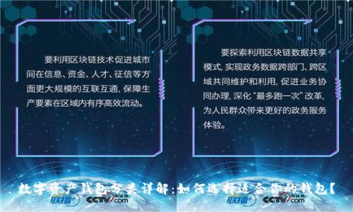 数字资产钱包分类详解:如何选择适合你的钱包?