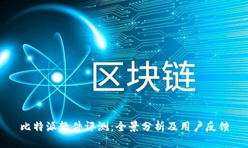比特派软件评测：全景分析及用户反馈