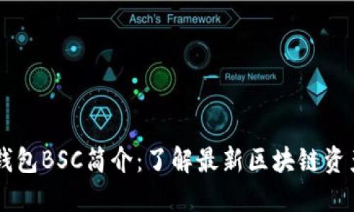 币圈三大钱包BSC简介：了解最新区块链资产管理工具