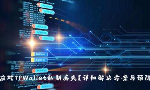 如何应对TPWallet私钥丢失?详细解决方案与预防措施