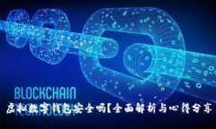 虚拟数字钱包安全吗？全面解析与心得分享