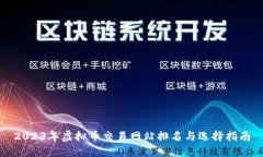 2023年虚拟币交易网站排名与选择指南